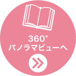 360度パノラマビューへ