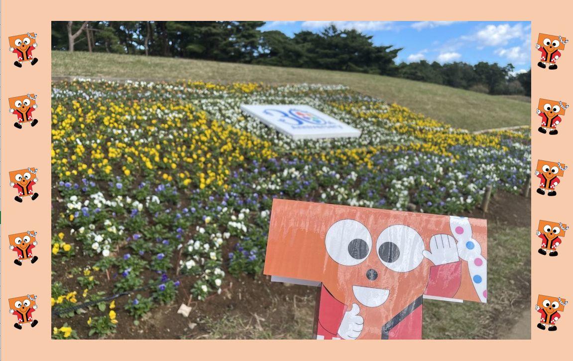 国営ひたち海浜公園にて