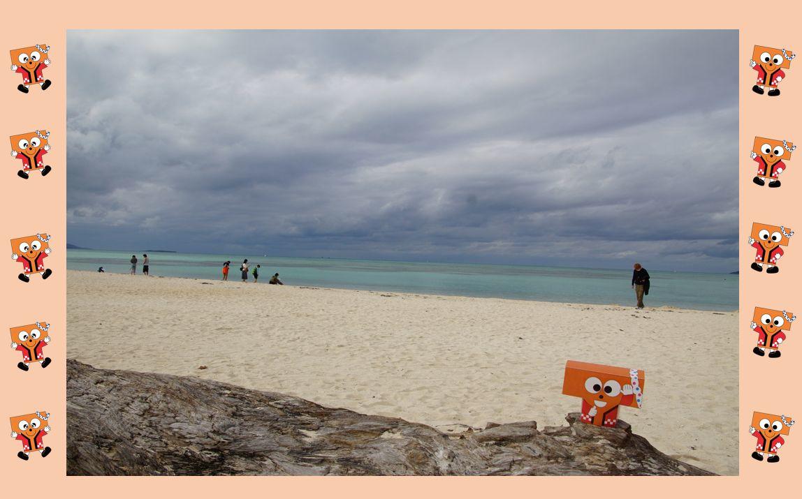 竹富島のカイジ浜(皆治浜)　星砂が取れる場所タピ