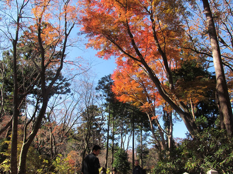 20161208takao_hiking03.jpg