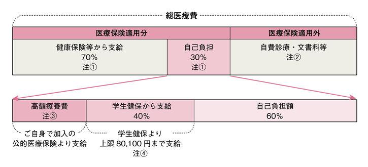 医療費給付の範囲